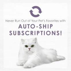 Fancy Feast Purely White Meat Chicken & Shredded Beef Wet Cat Food 19 Fancy Feast Purely White Meat Chicken & Shredded Beef Wet Cat Food -Almo nature Sales 75931 PT8. AC SS1800 V1640901385