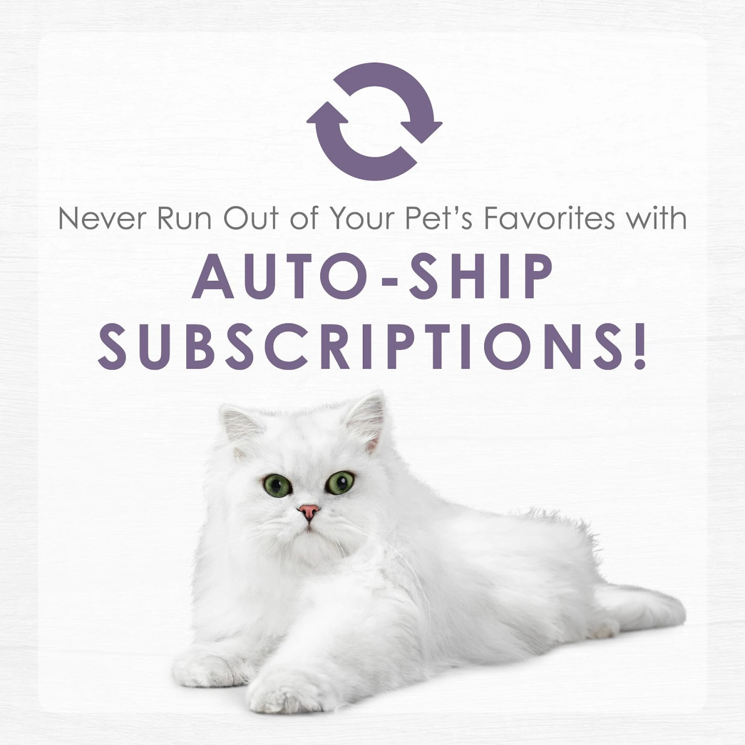 Fancy Feast Purely White Meat Chicken & Shredded Beef Wet Cat Food 11 Fancy Feast Purely White Meat Chicken & Shredded Beef Wet Cat Food - Image 9