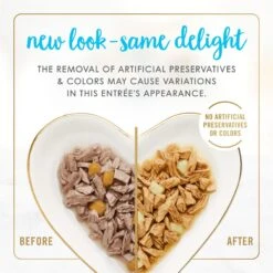 Fancy Feast Delights With Cheddar Grilled Tuna & Cheddar Cheese Feast In Gravy Canned Cat Food -Almo nature Sales 75956 PT2. AC SS1800 V1693928404