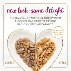 Fancy Feast Delights With Cheddar Grilled Chicken & Cheddar Cheese Feast In Gravy Canned Cat Food 13 Fancy Feast Delights With Cheddar Grilled Chicken & Cheddar Cheese Feast In Gravy Canned Cat Food -Almo nature Sales 75960 PT2. AC SS1800 V1693929388