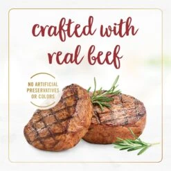 Fancy Feast Gravy Lovers Beef Feast Gravy Canned Cat Food -Almo nature Sales 75962 PT4. AC SS1800 V1695494776