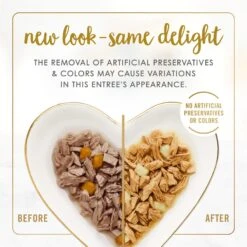 Fancy Feast Delights With Cheddar Grilled Variety Pack Canned Cat Food 12 Fancy Feast Delights With Cheddar Grilled Variety Pack Canned Cat Food -Almo nature Sales 75992 PT1. AC SS1800 V1693929417