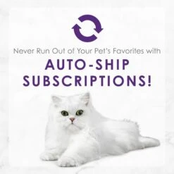 Fancy Feast Delights With Cheddar Grilled Variety Pack Canned Cat Food 19 Fancy Feast Delights With Cheddar Grilled Variety Pack Canned Cat Food -Almo nature Sales 75992 PT8. AC SS1800 V1693928311