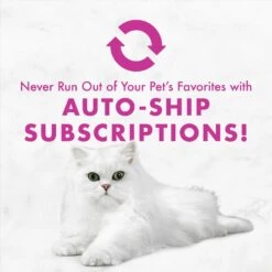 Fancy Feast Poultry & Beef Classic Pate Variety Pack Canned Cat Food 19 Fancy Feast Poultry & Beef Classic Pate Variety Pack Canned Cat Food -Almo nature Sales 76049 PT8. AC SS1800 V1674241273