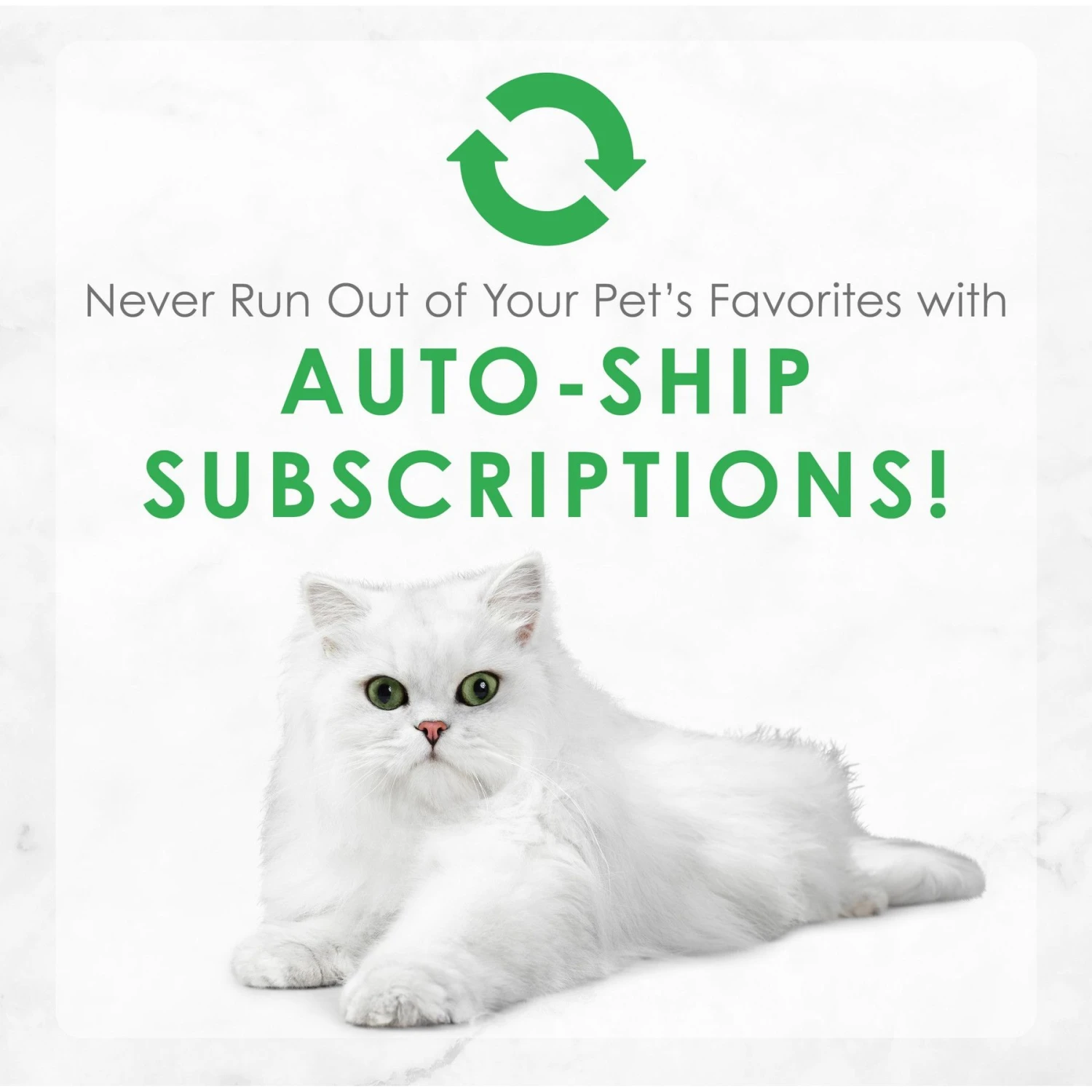 Fancy Feast Flaked Tuna Feast Wet Cat Food 11 Fancy Feast Flaked Tuna Feast Wet Cat Food - Image 9