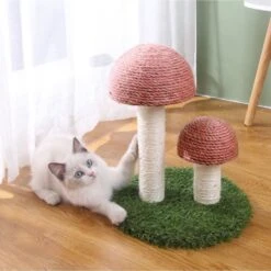 Lovely Caves Gardern Mushroom Cat Scratcher, Brown -Almo nature Sales 760822 PT2. AC SS1800 V1674852742