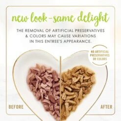 Fancy Feast Grilled Salmon Feast In Gravy Canned Cat Food -Almo nature Sales 76083 PT2. AC SS1800 V1683817418