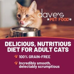 Dave's Pet Food Naturally Health Chicken With Lamb Dinner Canned Cat Food, 5.5-oz, Case Of 24 5 Dave's Pet Food Naturally Health Chicken With Lamb Dinner Canned Cat Food, 5.5-oz, Case Of 24 -Almo nature Sales 761854 PT1. AC SS1800 V1674512020