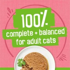 Friskies Pate Salmon Dinner Canned Cat Food -Almo nature Sales 76196 PT4. AC SS1800 V1700159488