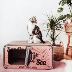 District 70 SARDINE Cardboard Cat Scratcher -Almo nature Sales 762078 PT5. AC SS1800 V1675868157