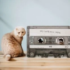 District 70 MIXTAPE Retro Cardboard Cat Scratcher, Large -Almo nature Sales 762094 PT5. AC SS1800 V1675868213