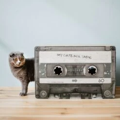 District 70 MIXTAPE Retro Cardboard Cat Scratcher, Large -Almo nature Sales 762094 PT6. AC SS1800 V1675867257