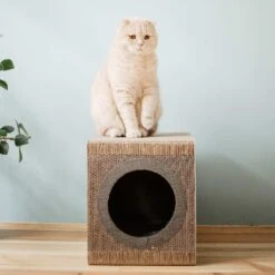 District 70 MIXTAPE Retro Cardboard Cat Scratcher, Large -Almo nature Sales 762094 PT7. AC SS1800 V1675868094