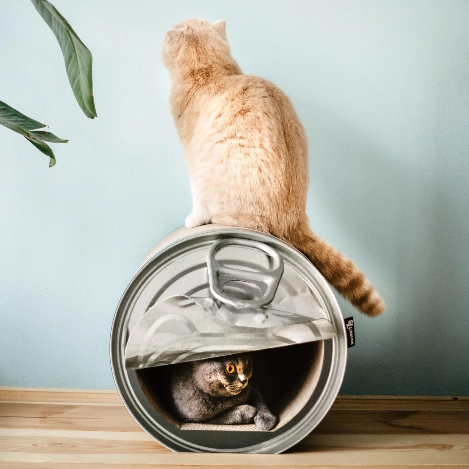 District 70 CAN Perfect Hiding Spot Funny Cat Scratcher, Grey 10 District 70 CAN Perfect Hiding Spot Funny Cat Scratcher, Grey - Image 8