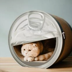 District 70 CAN Perfect Hiding Spot Funny Cat Scratcher, Grey 19 District 70 CAN Perfect Hiding Spot Funny Cat Scratcher, Grey -Almo nature Sales 762118 PT8. AC SS1800 V1675868155