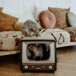 District 70 TELLY Retro Design Cat Scratcher, Brown -Almo nature Sales 762134 PT5. AC SS1800 V1675867320