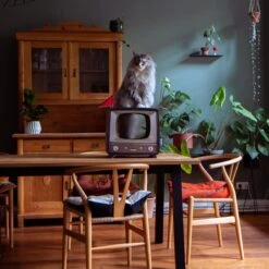 District 70 TELLY Retro Design Cat Scratcher, Brown -Almo nature Sales 762134 PT6. AC SS1800 V1675873759