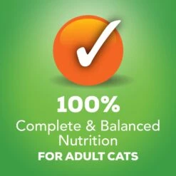 Friskies Classic Pate Variety Pack Canned Cat Food -Almo nature Sales 76219 PT5. AC SS1800 V1533748373