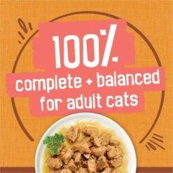 Friskies Extra Gravy Chunky With Chicken In Savory Gravy Canned Cat Food -Almo nature Sales 76290 PT5. AC SS1800 V1700158410