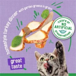 Friskies Indoor Homestyle Turkey Dinner Canned Cat Food -Almo nature Sales 76320 PT3. AC SS1800 V1700162549