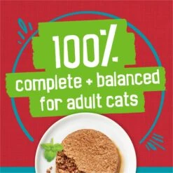 Friskies Tasty Treasures Pate Liver & Beef Wet Cat Food -Almo nature Sales 76334 PT5. AC SS1800 V1700161477