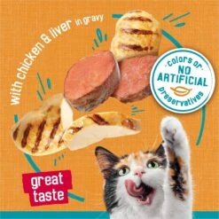 Friskies Tasty Treasures Gravy Chicken & Liver Wet Cat Food 14 Friskies Tasty Treasures Gravy Chicken & Liver Wet Cat Food -Almo nature Sales 76342 PT3. AC SS1800 V1700160036