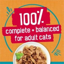 Friskies Tasty Treasures Gravy Chicken & Liver Wet Cat Food 16 Friskies Tasty Treasures Gravy Chicken & Liver Wet Cat Food -Almo nature Sales 76342 PT5. AC SS1800 V1700157914