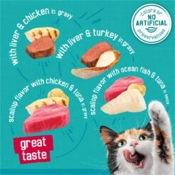 Friskies Tasty Treasures Gravy Prime Filets Variety Pack Wet Cat Food -Almo nature Sales 76350 PT2. AC SS1800 V1700158513
