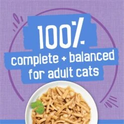 Friskies Savory Shreds Turkey & Cheese Dinner In Gravy Canned Cat Food 16 Friskies Savory Shreds Turkey & Cheese Dinner In Gravy Canned Cat Food -Almo nature Sales 76356 PT5. AC SS1800 V1699375106