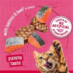 Friskies Prime Filets With Salmon & Beef In Sauce Canned Cat Food 14 Friskies Prime Filets With Salmon & Beef In Sauce Canned Cat Food -Almo nature Sales 76397 PT3. AC SS1800 V1699371141