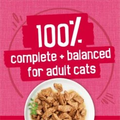 Friskies Prime Filets With Salmon & Beef In Sauce Canned Cat Food 16 Friskies Prime Filets With Salmon & Beef In Sauce Canned Cat Food -Almo nature Sales 76397 PT5. AC SS1800 V1700156847