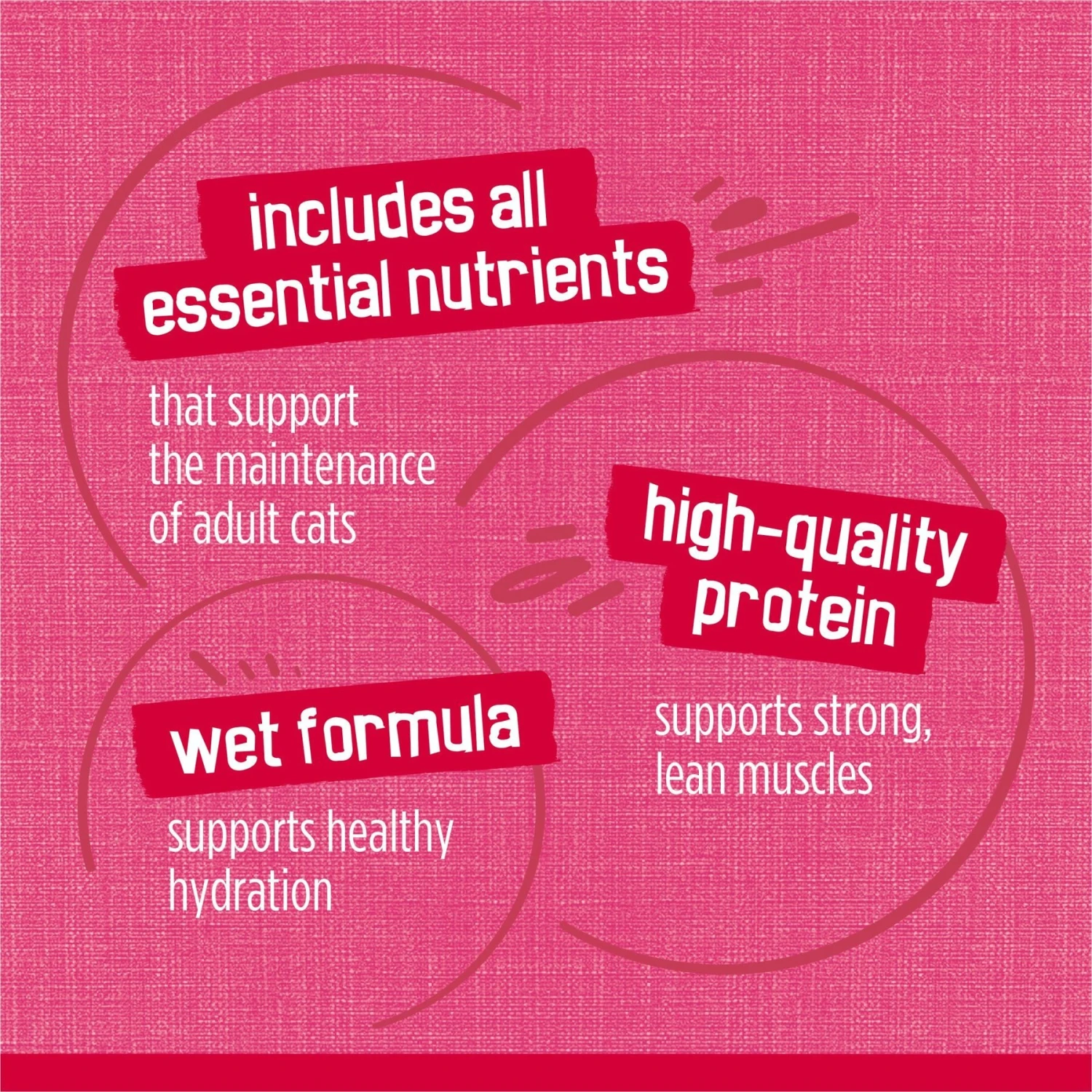 Friskies Prime Filets With Salmon & Beef In Sauce Canned Cat Food 10 Friskies Prime Filets With Salmon & Beef In Sauce Canned Cat Food - Image 8