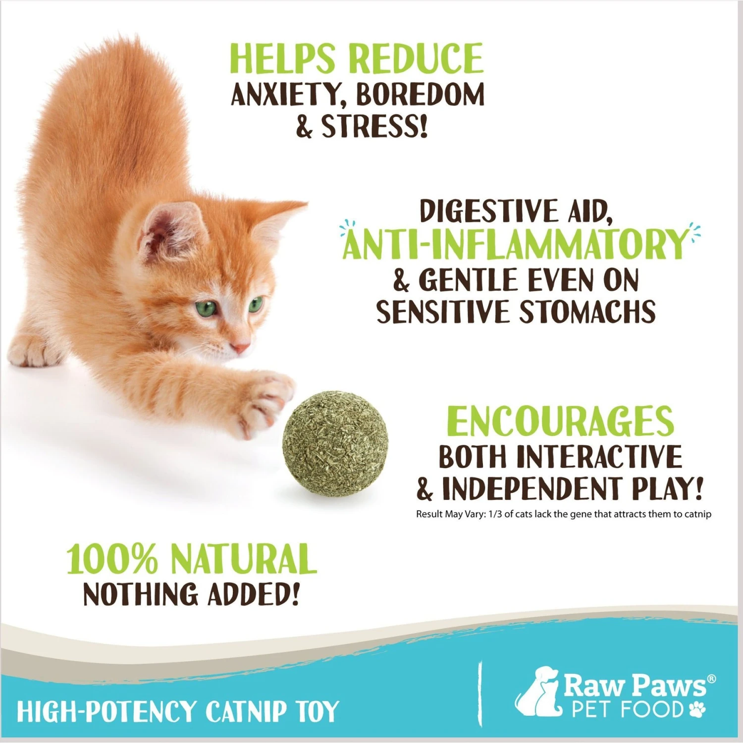 Raw Paws Compressed Catnip Ball Cat Toy, 6 Count 4 Raw Paws Compressed Catnip Ball Cat Toy, 6 Count - Image 2