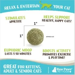 Raw Paws Compressed Catnip Ball Cat Toy, 6 Count 10 Raw Paws Compressed Catnip Ball Cat Toy, 6 Count -Almo nature Sales 777974 PT2. AC SS1800 V1676653249
