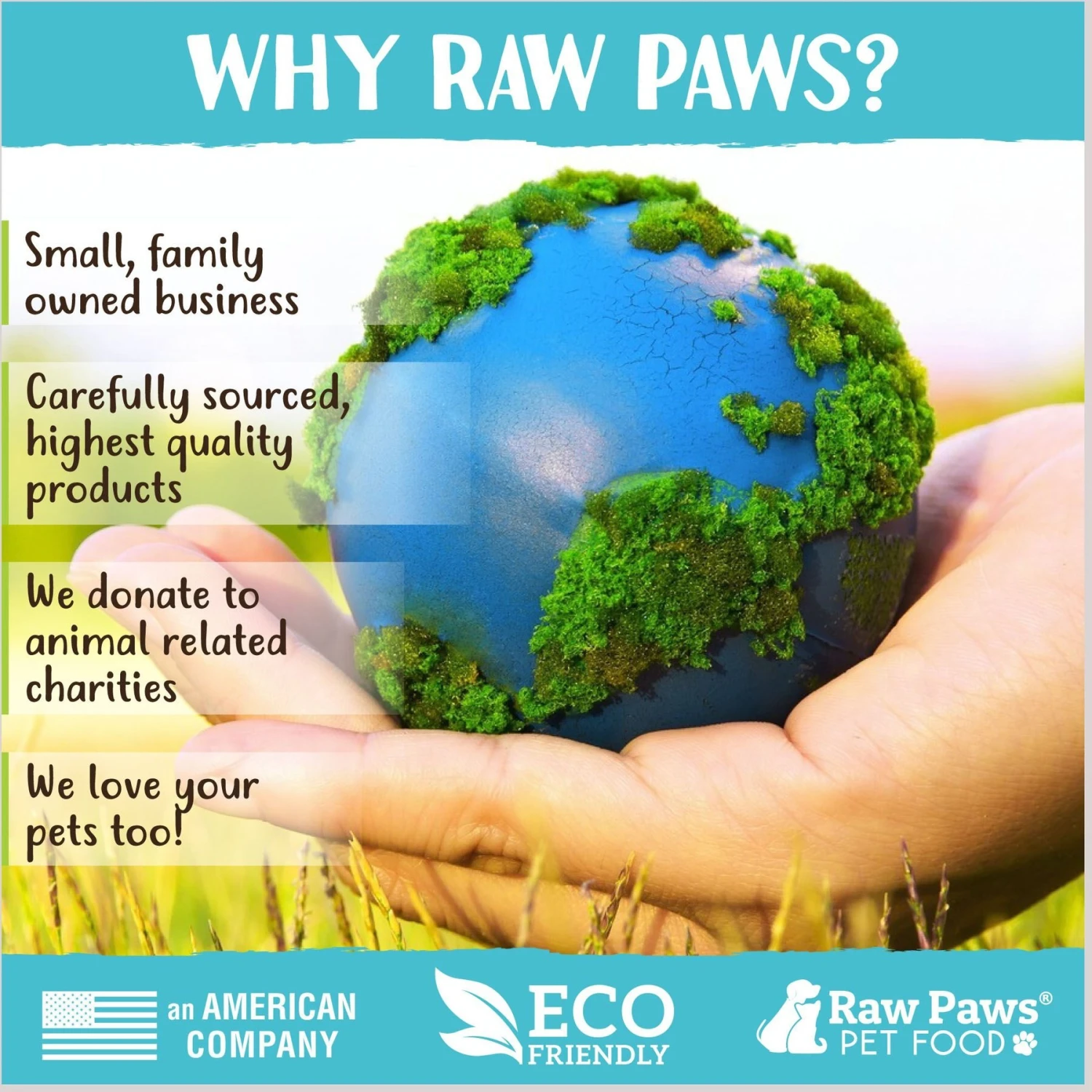Raw Paws Compressed Catnip Ball Cat Toy, 6 Count 8 Raw Paws Compressed Catnip Ball Cat Toy, 6 Count - Image 6