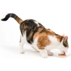 Catit Creamy Salmon Flavor Lickable Cat Treats 11 Catit Creamy Salmon Flavor Lickable Cat Treats -Almo nature Sales 781406 PT4. AC SS1800 V1677077913