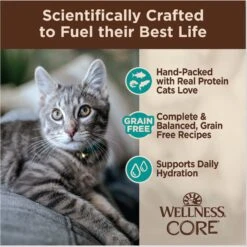 Wellness CORE Signature Select Flaked Sea Variety Pack Wet Cat -Almo nature Sales 794838 PT3. AC SS1800 V1679069096