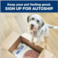 Hill's Prescription Diet C/d Multicare Urinary Care Chicken & Vegetable Stew Wet Cat Food 17 Hill's Prescription Diet C/d Multicare Urinary Care Chicken & Vegetable Stew Wet Cat Food -Almo nature Sales 80485 PT6. AC SS1800 V1687983003