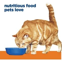 Hill's Prescription Diet C/d Multicare Urinary Care Vegetable, Tuna & Rice Stew Wet Cat Food 13 Hill's Prescription Diet C/d Multicare Urinary Care Vegetable, Tuna & Rice Stew Wet Cat Food -Almo nature Sales 80489 PT2. AC SS1800 V1657661030
