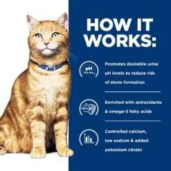 Hill's Prescription Diet C/d Multicare Urinary Care Vegetable, Tuna & Rice Stew Wet Cat Food 16 Hill's Prescription Diet C/d Multicare Urinary Care Vegetable, Tuna & Rice Stew Wet Cat Food -Almo nature Sales 80489 PT5. AC SS1800 V1657661030