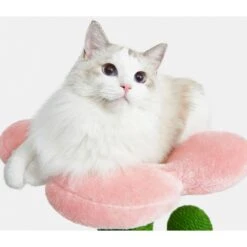 VETRESKA Blooming Cactus 41-in Cat Tree -Almo nature Sales 805102 PT2. AC SS1800 V1680527793