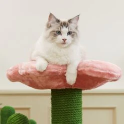 VETRESKA Blooming Cactus 41-in Cat Tree -Almo nature Sales 805102 PT8. AC SS1800 V1680527837