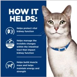 Hill's Prescription Diet K/d Kidney Care Pate With Tuna Wet Cat Food 16 Hill's Prescription Diet K/d Kidney Care Pate With Tuna Wet Cat Food -Almo nature Sales 82055 PT5. AC SS1800 V1691776100