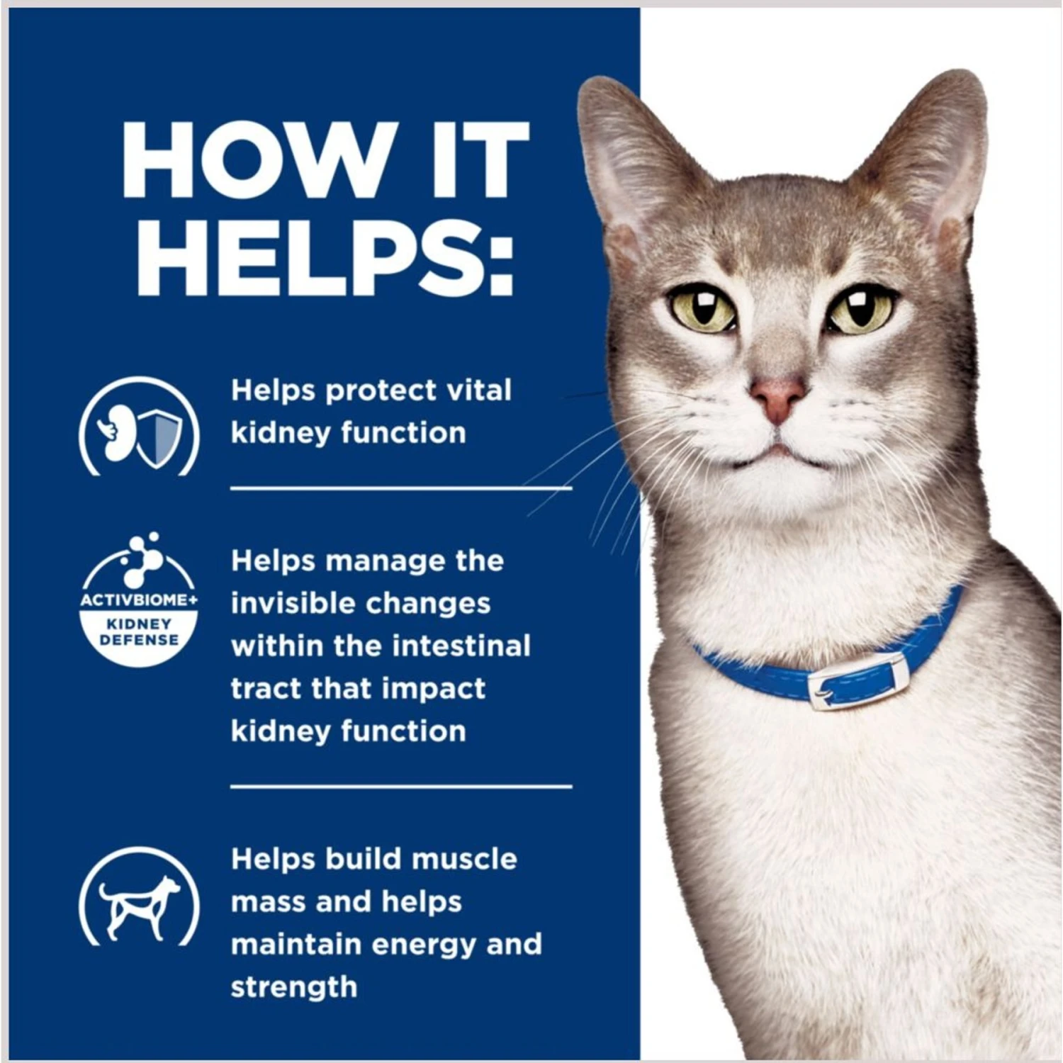 Hill's Prescription Diet K/d Kidney Care Pate With Tuna Wet Cat Food 8 Hill's Prescription Diet K/d Kidney Care Pate With Tuna Wet Cat Food - Image 6
