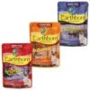 Earthborn Holistic Lowcountry Fare Tuna Dinner With Shrimp In Gravy Grain-Free Cat Food + 2 Items -Almo nature Sales 822566 MAIN. AC SS1800 V1680643449