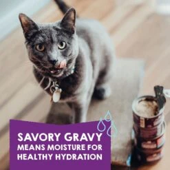 Stella & Chewy's Carnivore Cravings Purrfect Pate Variety Pack Cat Food, 2.8-oz Can, Case Of 12 -Almo nature Sales 826078 PT4. AC SS1800 V1683553354