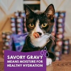 Stella & Chewy's Carnivore Cravings Savory Shreds Variety Pack Cat Food, 2.8-oz Can, Case Of 12 -Almo nature Sales 826094 PT4. AC SS1800 V1683552372