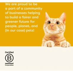 Applaws Chicken Breast In Gravy Limited Ingredient Canned Wet Cat Food, 2.47-oz Can, Case Of 24 15 Applaws Chicken Breast In Gravy Limited Ingredient Canned Wet Cat Food, 2.47-oz Can, Case Of 24 -Almo nature Sales 836262 PT6. AC SS1800 V1685459728