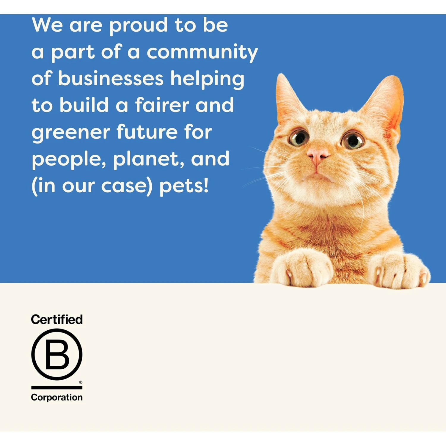 Applaws Ocean Fish Recipe In Gravy Limited Ingredient Cat Food Pots, 2.12-oz Pot, Case Of 18 9 Applaws Ocean Fish Recipe In Gravy Limited Ingredient Cat Food Pots, 2.12-oz Pot, Case Of 18 - Image 7