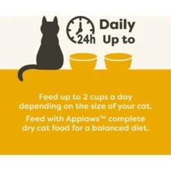 Applaws Chicken Breast With Salmon In Broth Limited Ingredient Cat Food Pots, 2.12-oz Pot, Case Of 18 -Almo nature Sales 836422 PT4. AC SS1800 V1685462345